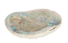 Load image into Gallery viewer, Abalone Smudging Shell