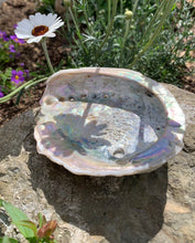 Load image into Gallery viewer, Abalone Smudging Shell