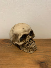 Load image into Gallery viewer, Skulls