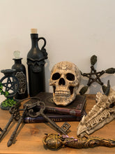 Load image into Gallery viewer, Skulls