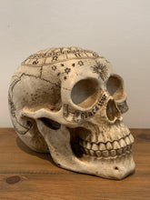 Load image into Gallery viewer, Skulls