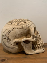 Load image into Gallery viewer, Skulls