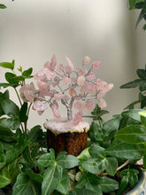 Load image into Gallery viewer, Small Crystal Trees