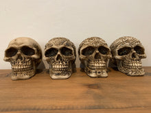 Load image into Gallery viewer, Skulls