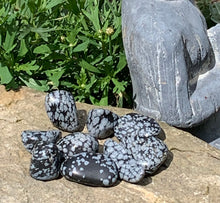 Load image into Gallery viewer, Crystals/ Gemstones