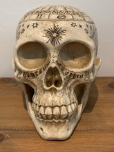Load image into Gallery viewer, Skulls