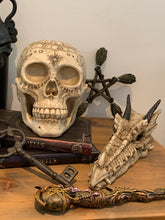 Load image into Gallery viewer, Skulls