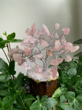 Load image into Gallery viewer, Small Crystal Trees