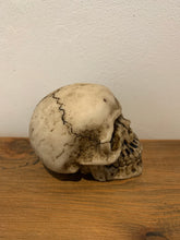 Load image into Gallery viewer, Skulls