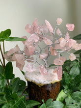 Load image into Gallery viewer, Small Crystal Trees