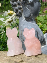 Load image into Gallery viewer, Gemstone Cats