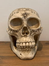 Load image into Gallery viewer, Skulls