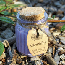 Load image into Gallery viewer, Soy Pot Fragranced Candles