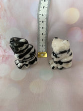Load image into Gallery viewer, Gemstone Cats