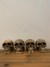 Load image into Gallery viewer, Skulls