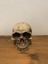 Load image into Gallery viewer, Skulls