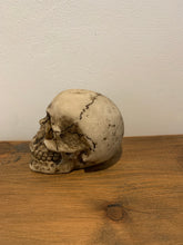 Load image into Gallery viewer, Skulls