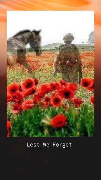 Lest We Forget