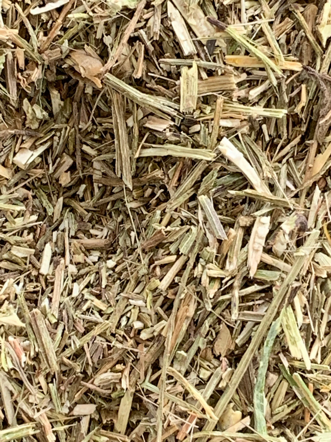 vervain dried herb