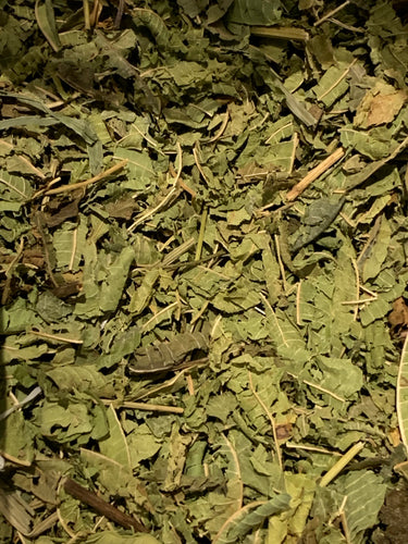 Lemon Verbena