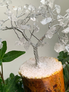 Small Crystal Trees